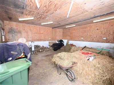 Picture 25